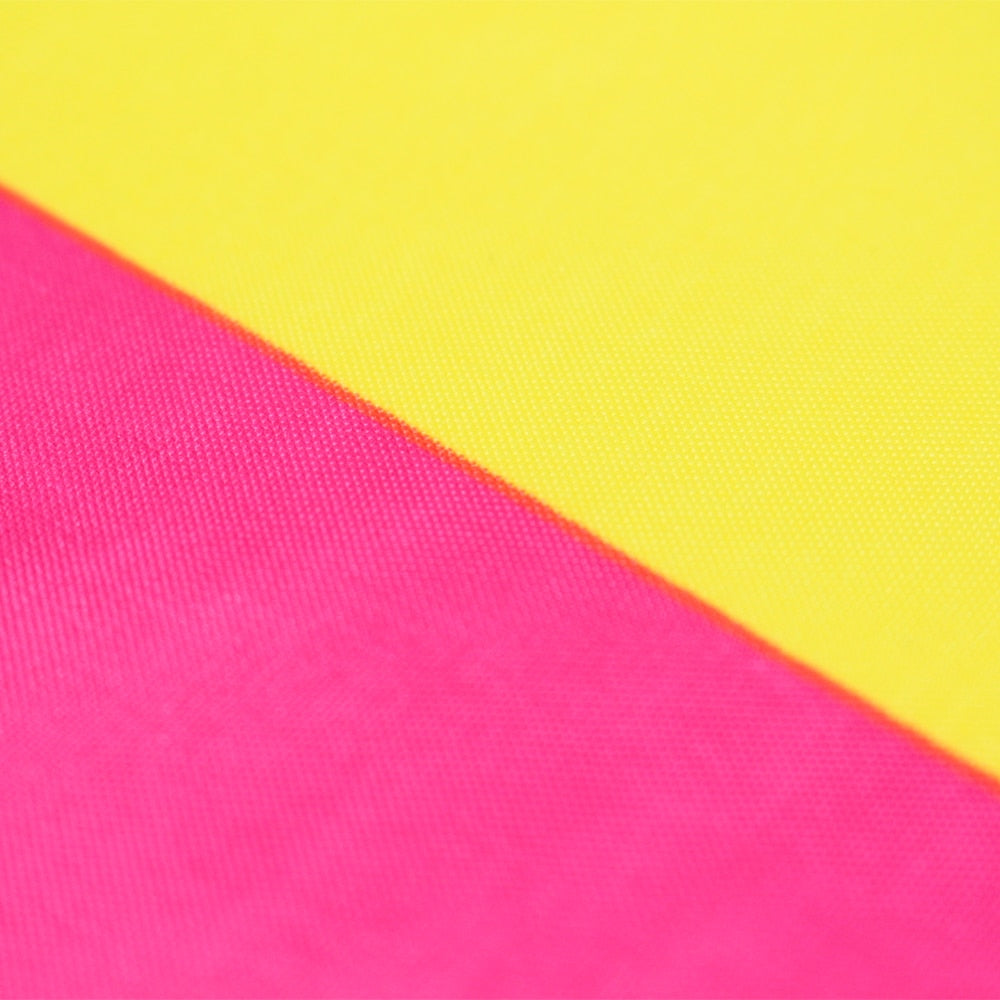 Pansexual Pride Flag